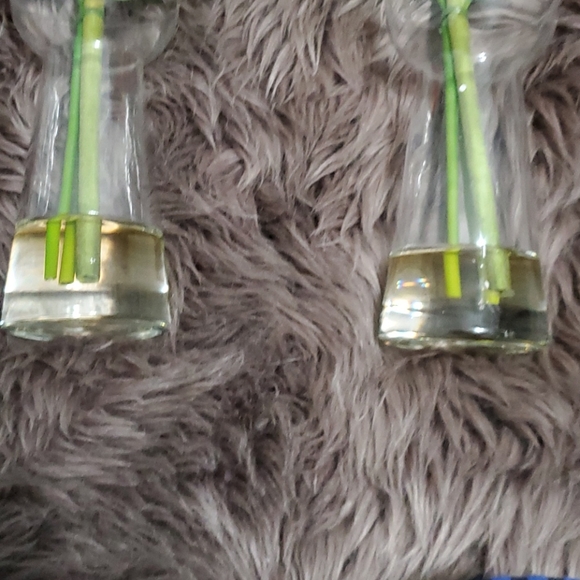 Orange Flower in the Glass Vase - Picture 5 of 6